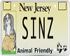 Sinz License