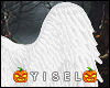 Y. Angel Wings Collab