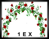 1EX Rose Arch