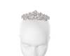 white tiara