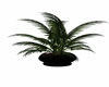 Romantic Planter