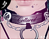 Nuc| Collared