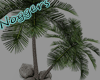 Island Trees