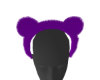 Purple Bear Ears