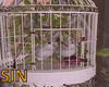SIN Love Birds in Cage