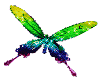 BUTTERFLY COLORED