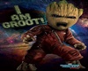 Club Groot 2