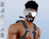 Scuba Diving Outfit