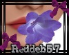 *RD* Purple Kiss Flower