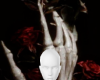[CM] Rose exclusivo