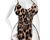 Leoparda Linda AM