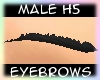 [Male H5] Black Eyebrows