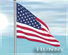 H. American Flag Animate