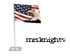 USA FLAG AMIN