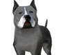 Grey Pitbull [w Triggers