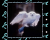 Hedwig stamp
