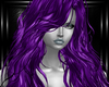 purple felisa hairs