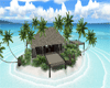 beach Island