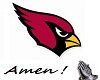 Cardinals  Jersey (M)