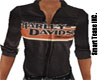 Tease's Harley Davidson3