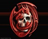 Dragon Pic