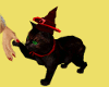 Dark Animated Magic Cat