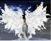 holy angel wings