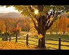 Yellow Ribbon