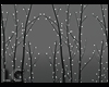 LC Room Divider Lights