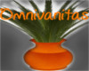 Plant:.