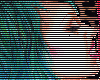-Deu-Jeffree Star frame`