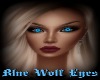 Blue Wolf Eyes