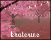 [kk] Cherry Blossom