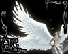 (JC) Archangel Wings