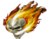 skull of flames