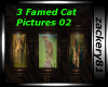 3 Framed Cat Pictures 02