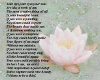 Poem on Waterlillies