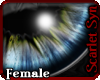 (Ss) August Eyes -F