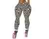 kala pants