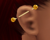 *TJ* Ear Piercing R G Y