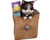 bag with cat