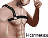 [Alu] Straped Harness