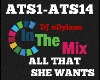 DJ Dyl All That She Want