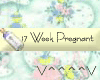 17 Weeks Pregnant (Y)