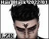 Hair BLack 2022.01