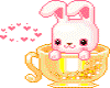 bunnycup