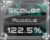 (3) Chest/Mscle (122.5%)