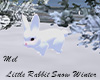 Little Rabbit Snow Anim