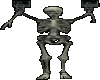 Skeleton1(Anim)