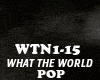 POP- WHAT THE WORLD